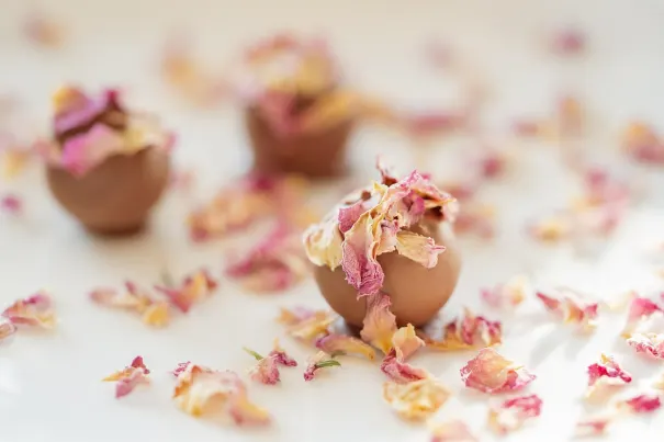 Casino Bella Vegas Android/iOS aplikacija